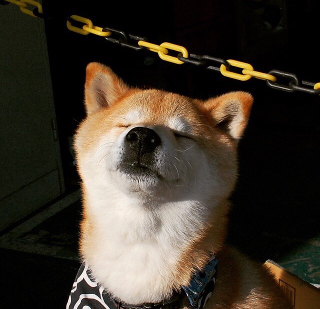 乐鱼体育(中国)官方网站-体育新闻中心发布体育赛事虚拟直播互动技术，体育赛事直播方案