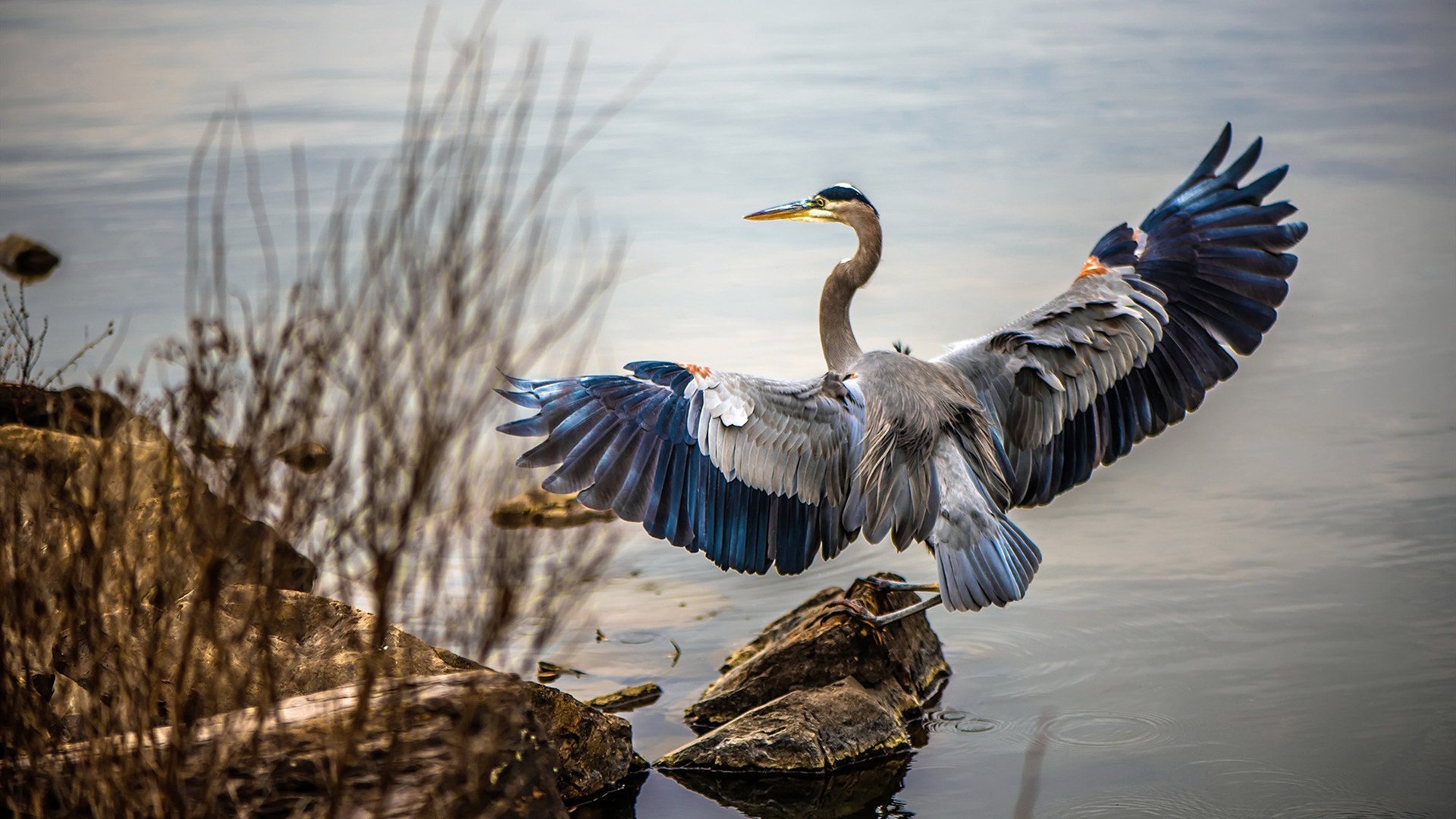 Leyu Sports (乐鱼体育)-压迫式盯防如何打乱进攻节奏,压迫式是什么动作