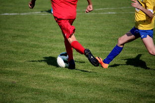 APP下载 LY Sports-拳击国家队备战亚运 实施精英训练计划，拳击亚军奖杯照片