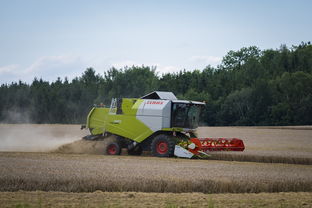 乐鱼（中国）体育官方网站-田径跨项目交流营探索协同训练新方式，田径跨栏的动作讲解