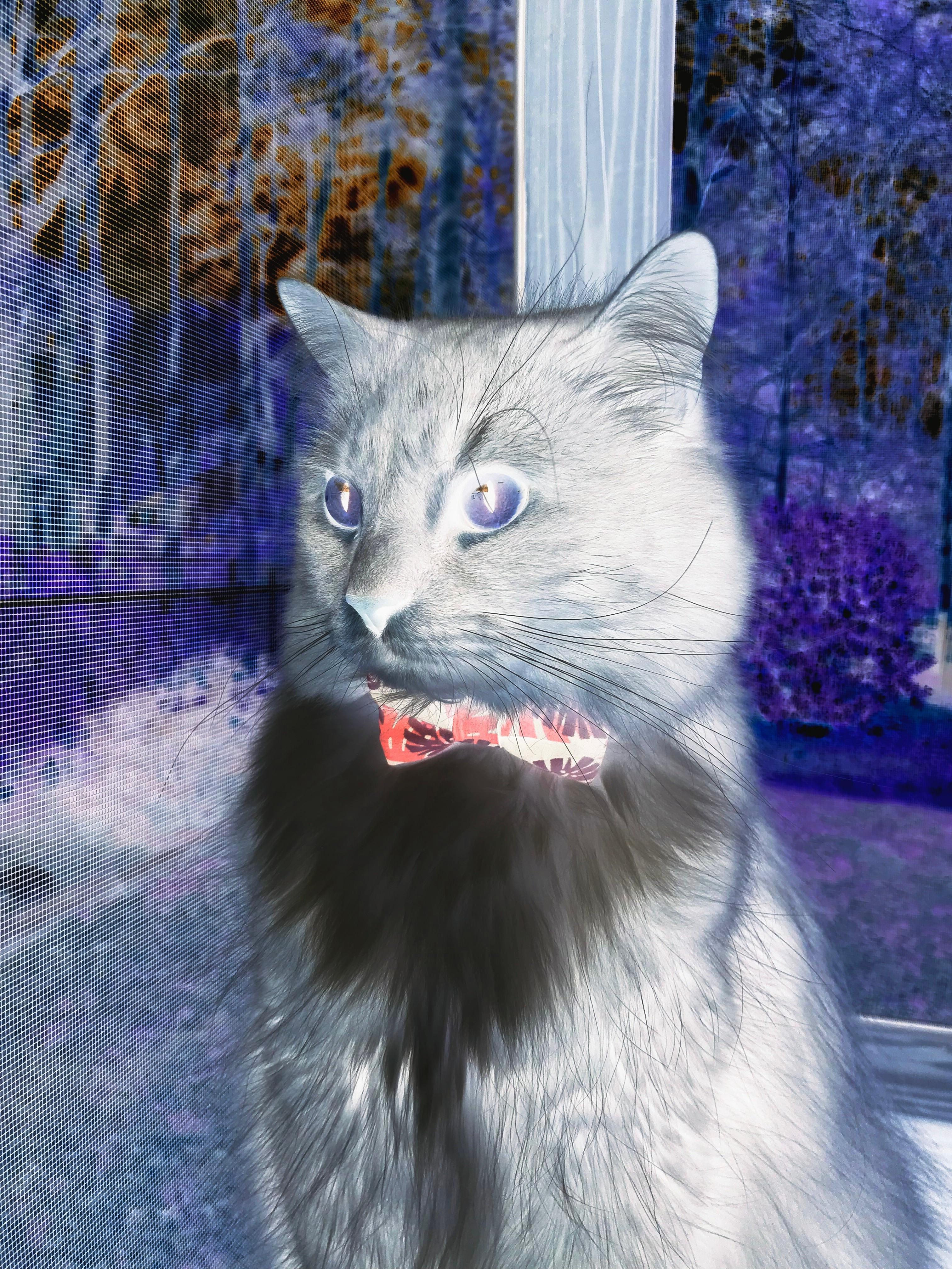 LEYU SPORTS中国官方网站-美国队赛制深度解析:赛制对团队整体战斗力的提升,美国参赛队