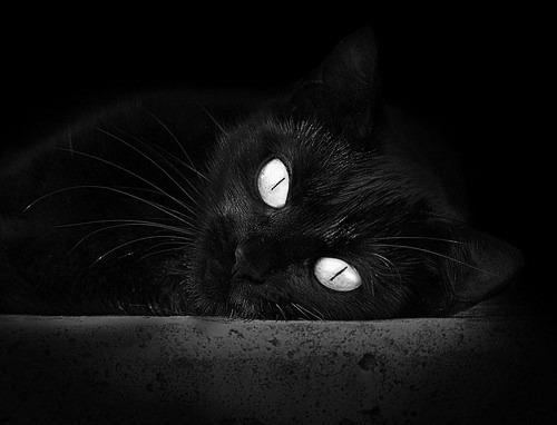 Leyu Sport登录入口-边路直传组合跑动频率与战术成功率的对比