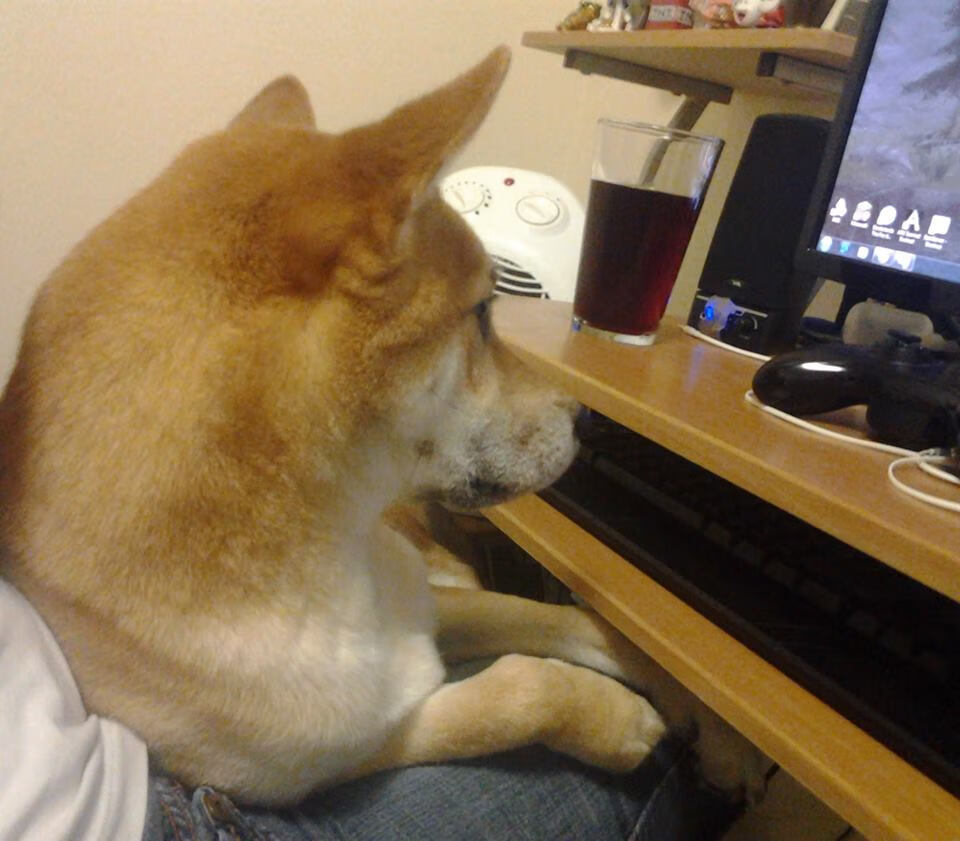 leyu乐鱼-青少年马拉松挑战赛成都站热力开跑，成都 马拉松