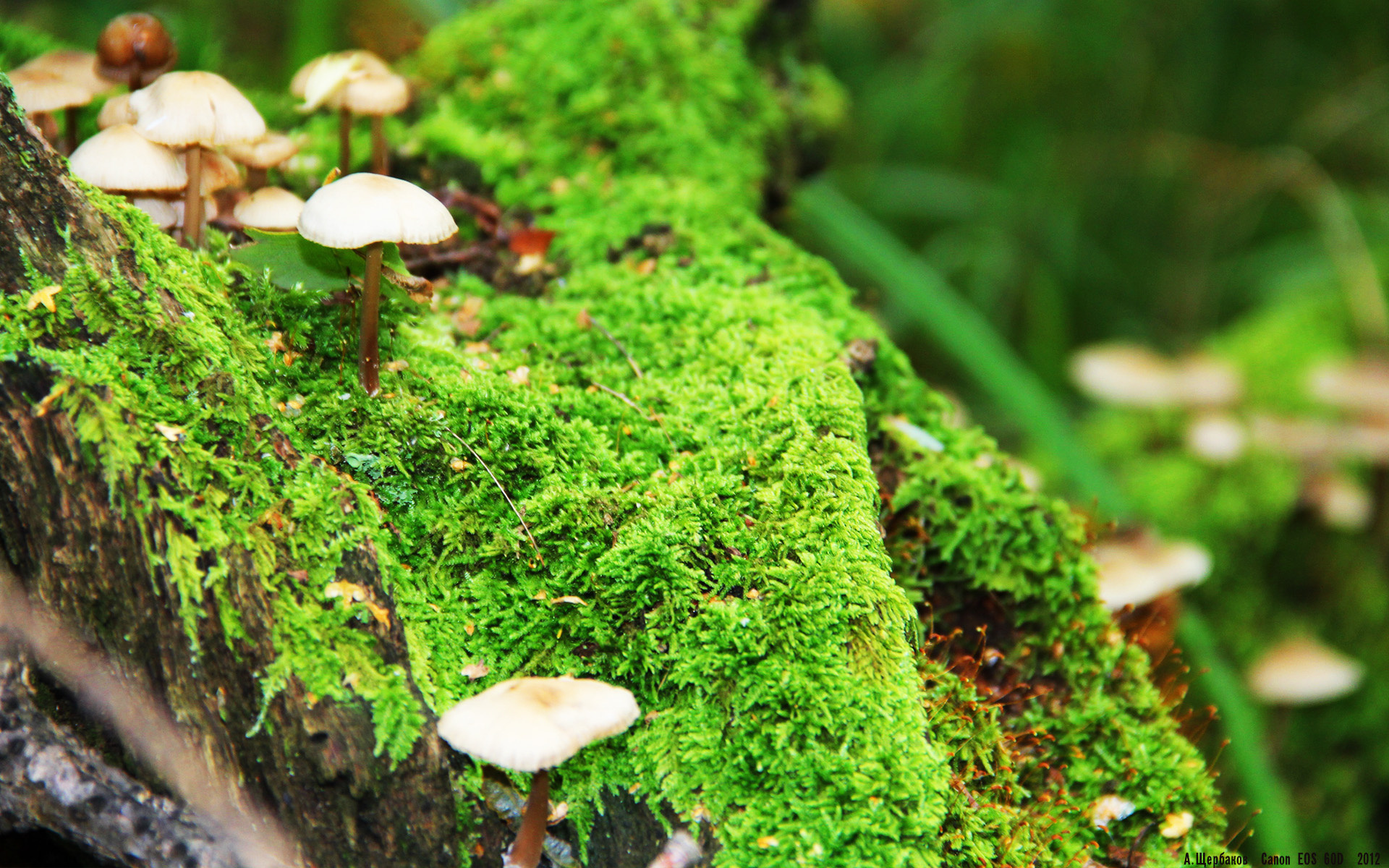 乐鱼体育APP官方下载-76人安排团队心理沙龙增强球员抗压能力,76人组合