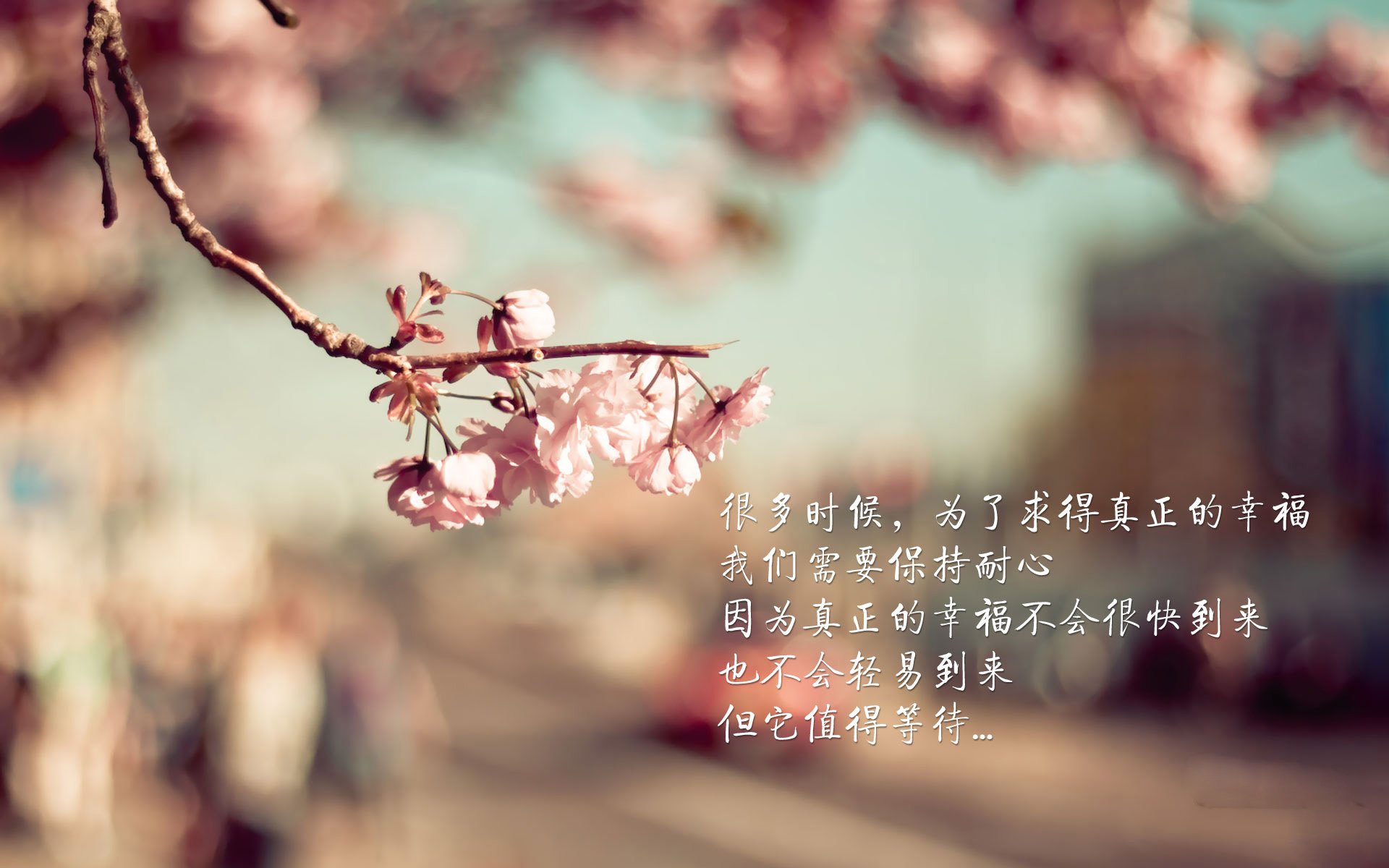 乐鱼电竞在线平台-“伊万·戈梅斯:从防守专家到进攻新星,推动美洲狮队新一轮崛起”