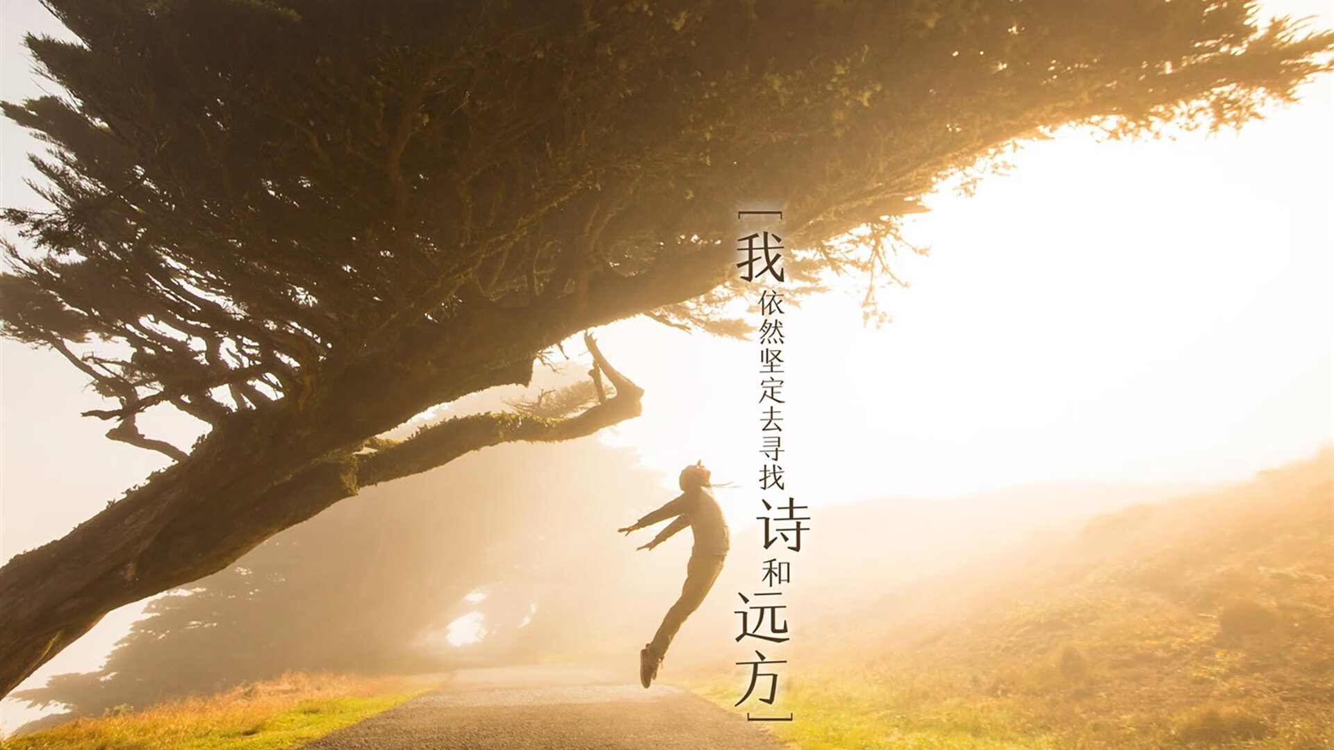 LEYU SPORTS中国官方网站-奥斯马尔·奥尔韦拉跳板项目新星崛起,奥尔维斯