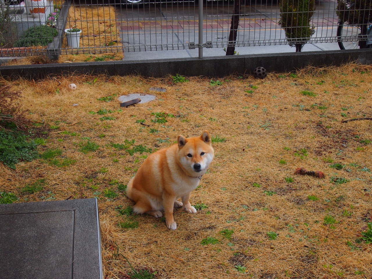 乐鱼（中国）体育官方网站-篮网训练结束后安排冷敷项目缓解肌肉疲劳，篮网训练赛